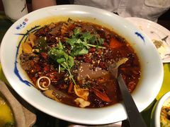 毛血旺-辛香汇(飞洲店)
