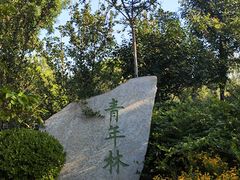-大港湿地公园