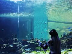 -常州海昌海洋探索馆