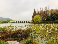 -云龙湖旅游景区