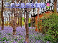 -将府公园