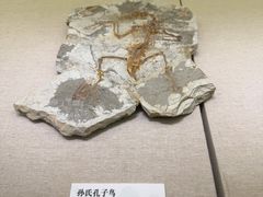 -衢州市博物馆