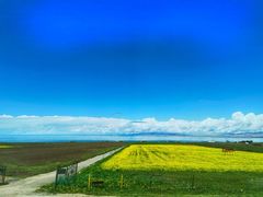 -青海湖国家重点风景名胜区