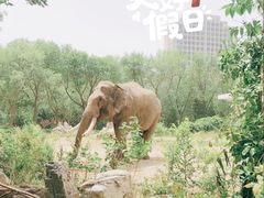 -天津市动物园