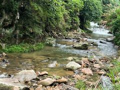 -将军关探险漂流