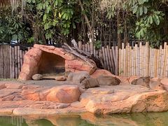 -珠海长隆海洋王国