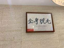 -银座Calla