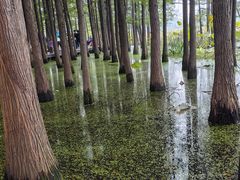 -云龙湖旅游景区