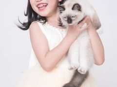 -iF摄影•全家福•证件照•形象照(南山店)