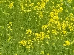 -艾溪湖湿地公园