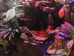 -醉小酒馆·川菜·江湖菜·重庆菜(观音桥旗舰店)