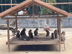 -广东茂名森林公园