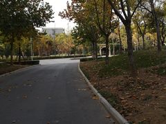 -河南财经政法大学(郑东校区)