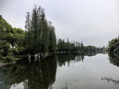 -艾溪湖湿地公园