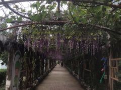 -呀路古热带植物园