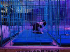 -山东柏宁水族批发广场