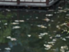 -南京市民俗博物馆(甘熙故居)