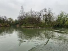 景点-西溪国家湿地公园