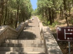 -四门塔风景区