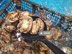 -阳光岛·海鲜盛宴(银泰中心in99店)