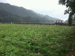 -广州市石门国家森林公园