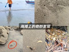 -万尾金滩