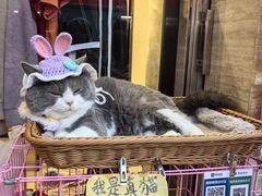 -越秀西湖花市(广州城市广场花卉店)