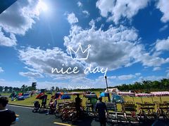 -春花秋色城市公园