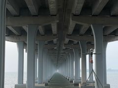 -宝安西湾红树林湿地公园