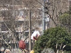 -中海环宇荟