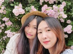 -白鹭湾湿地公园