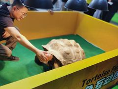 -东浩兰生上海世博展览馆