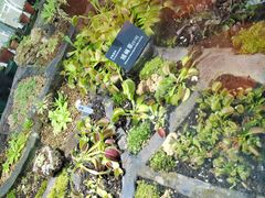 -国家植物园南园