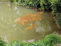 -杭州植物园