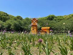 -苏州上方山国家森林公园