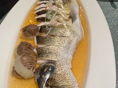 太湖白水鱼-蟹榭·本帮江浙菜·蟹宴(五角场合生汇商场店)