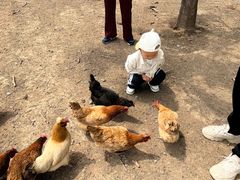 -甜心庄园·甜心草莓采摘园(西青中北店)