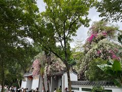 -深圳国际园林花卉博览园