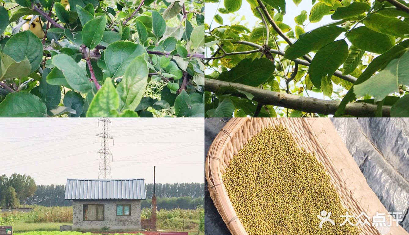 北京遛娃| 乐园、萌宠、果蔬采摘一站式农庄