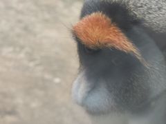 -南昌动物园