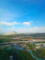点击看大图 -茜尔维亚修身连锁