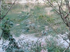 -国家植物园