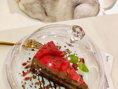 -飞行喵MR PILOT|猫舍·猫咖(静安大融城店)