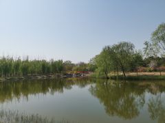 -大兴滨河森林公园