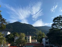 -广州市流溪河国家森林公园