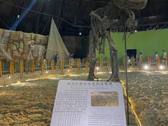 -二连浩特国家地质公园