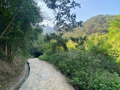 -羚羊峡古栈道森林公园