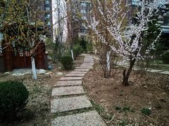 -五彩阳光城1期