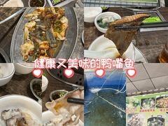 -鸿渡渔庄·特色鸭咀鱼