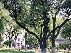 -南京中国近代史遗址博物馆(南京总统府)